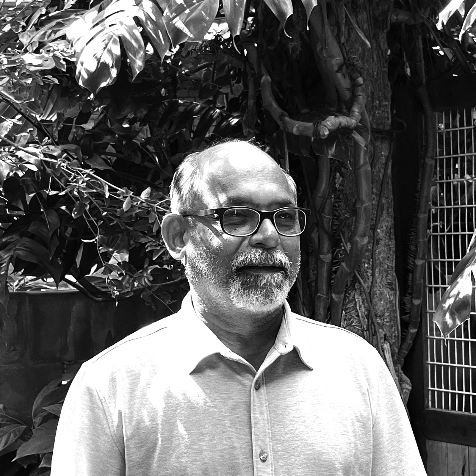 w-100 h-100 rounded-sm